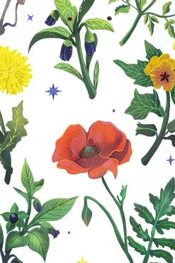 Blaty Do Deskorolki-Palto Blat Herbarium