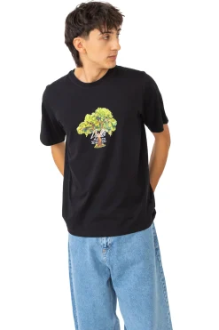 T-shirty-Palto Koszulka Lemon Tree