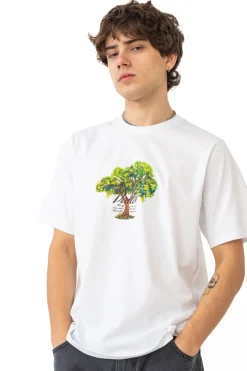 T-shirty-Palto Koszulka Lemon Tree