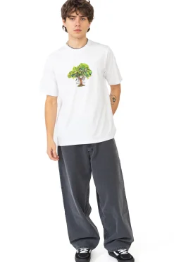 T-shirty-Palto Koszulka Lemon Tree