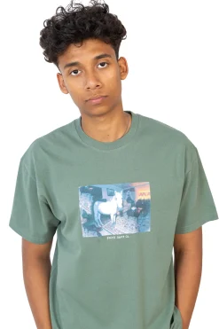 T-shirty-Polar Skate Koszulka Polar Horse Dream