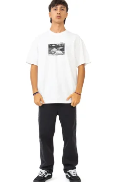 T-shirty-Polar Skate Koszulka Polar Turtle Town