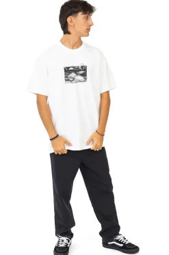 T-shirty-Polar Skate Koszulka Polar Turtle Town