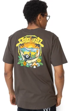 T-shirty-Santa Cruz Skateboards Koszulka Santa Cruz Winkowski 8Baller Trip